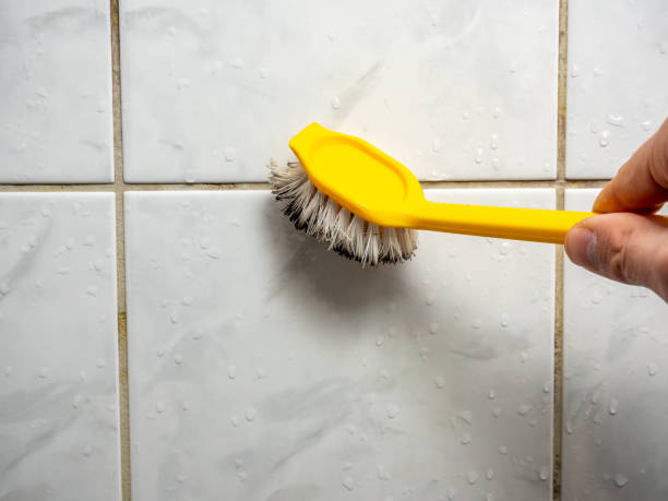 Best Mold Testing  in Danbury, CT