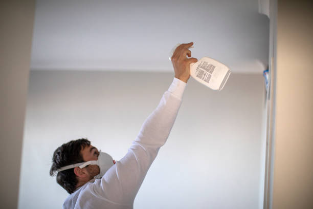 Best Residential Mold Removal  in Danbury, CT