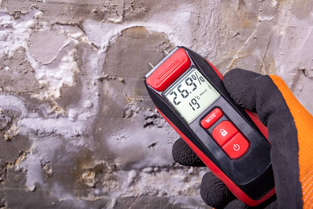 Best Mold Removal Company Near Me  in Danbury, CT
