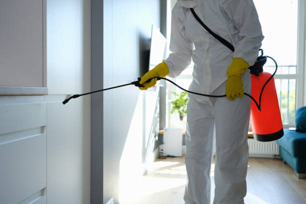 Trusted Danbury, CT Mold Removal Experts