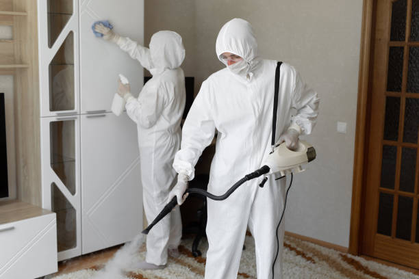 Best Home Mold Removal  in Danbury, CT